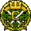 Cyber Intelligence Division badge